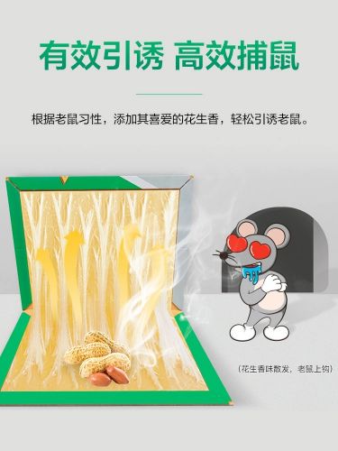 粘鼠板