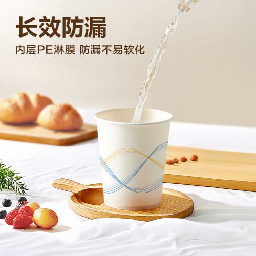 纸杯